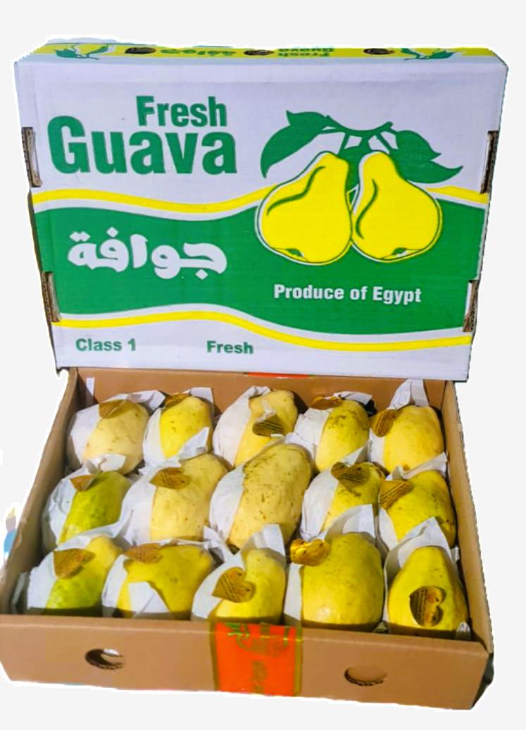 Fresh Guava – approx. 2kg Pack | Fragrant & Vitamin-Rich