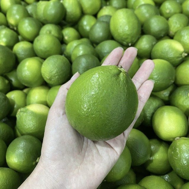 Fresh Egyptian Lemon Eureka Seedless – Zesty & Juicy approx. 3kg