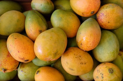 Fresh Egyptian Keitt Mango – Large & Juicy approx. 3kg