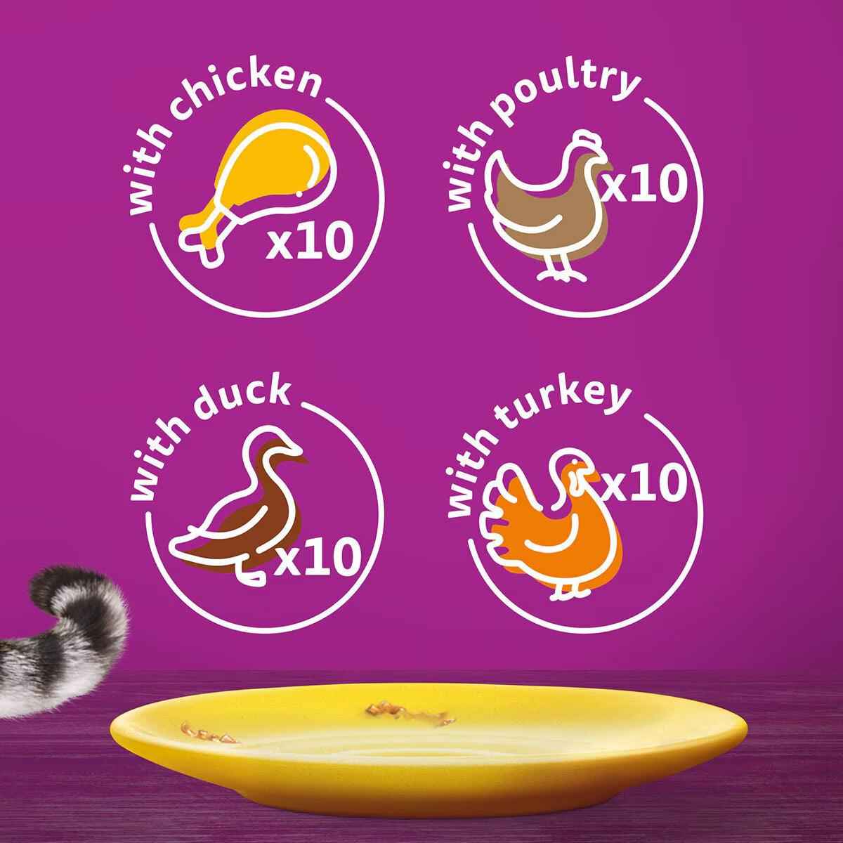 Whiskas Poultry Feast in Jelly Pouches 1+, 40 X 85G - Nonynana