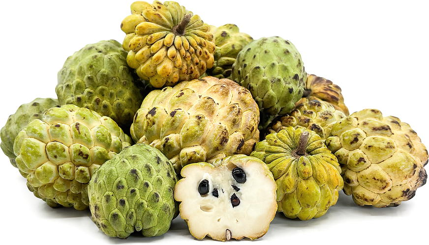 Pile of custard apples with a white background