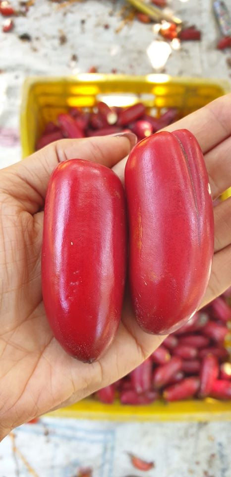 Fresh Egyptian Red Zaghloul Dates – Sweet & Juicy