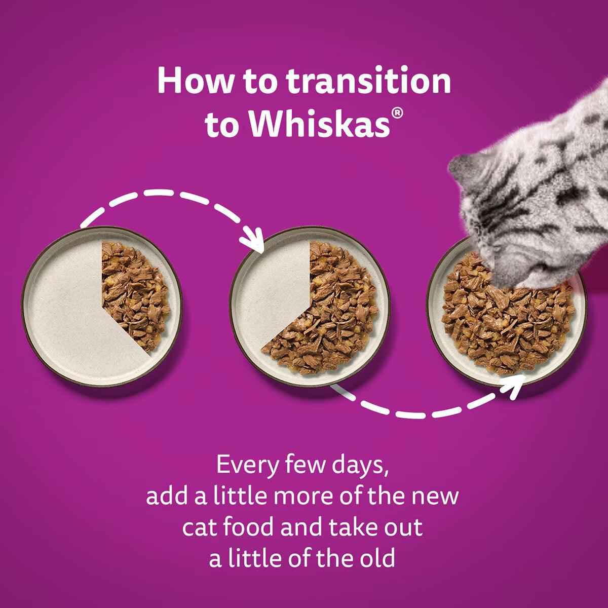 Whiskas Poultry Feast in Jelly Pouches 1+, 40 X 85G - Nonynana