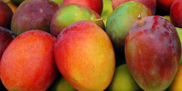 Fresh Egyptian Heidi Mango – Sweet & Aromatic approx. 3kg