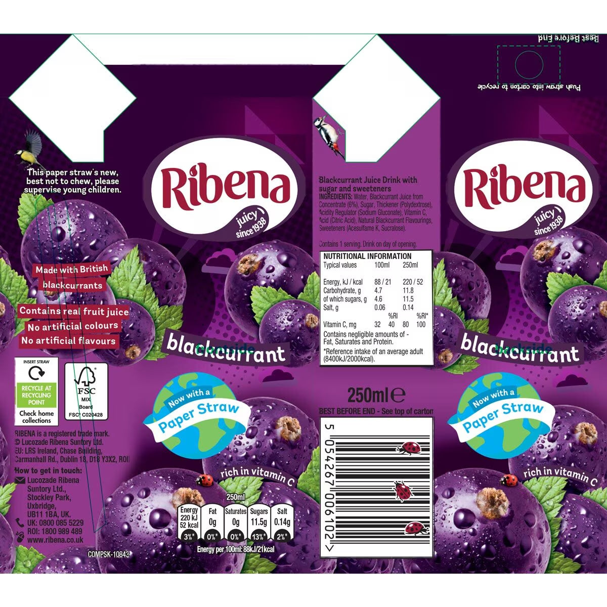 Ribena Ready to Drink Blackcurrant, 24 X 250Ml - Nonynana