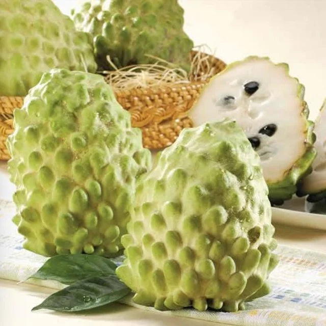 Fresh Egyptian Custard Apple (Cherimoya) – Creamy & Exotic approx. 3.50kg