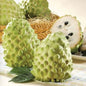 Fresh Egyptian Custard Apple (Cherimoya) – Creamy & Exotic approx. 3.50kg