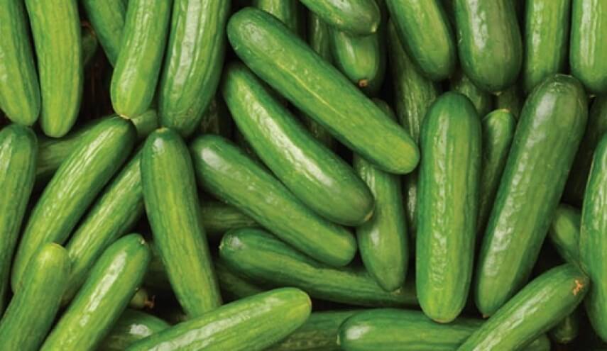 Fresh Egyptian Cucumber – Crisp, Cool & Refreshing approx. 3kg