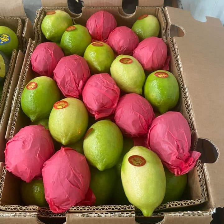 Fresh Egyptian Lemon Eureka Seedless – Zesty & Juicy approx. 3kg