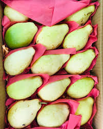 Fresh Guava – approx. 2kg Pack | Fragrant & Vitamin-Rich